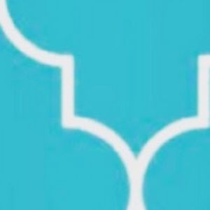 Meet your Posher, Allie